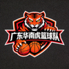 广东华南虎篮球队队徽